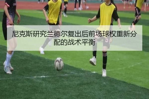 尼克斯研究兰德尔复出后前场球权重新分配的战术平衡