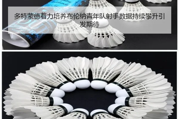 多特蒙德着力培养布伦纳青年队射手数据持续攀升引发期待